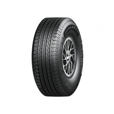 Легковые шины Goalstar PerforMax